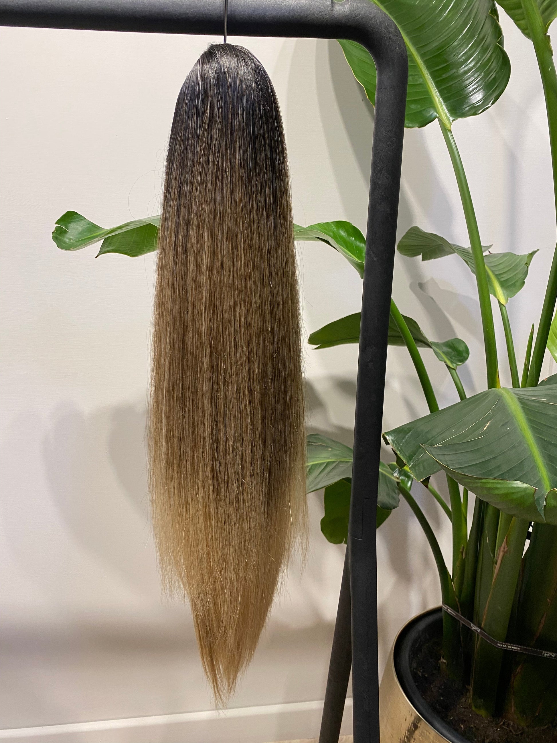 Coda liscia con Coulisse Biondo Degradè MQ