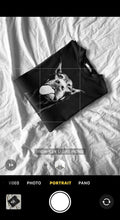 T-shirt grigio doberman