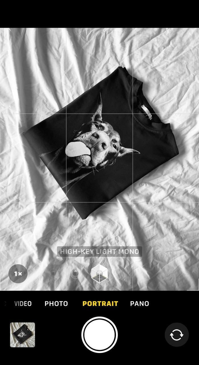 T-shirt grigio doberman