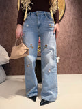 Jeans cute dog