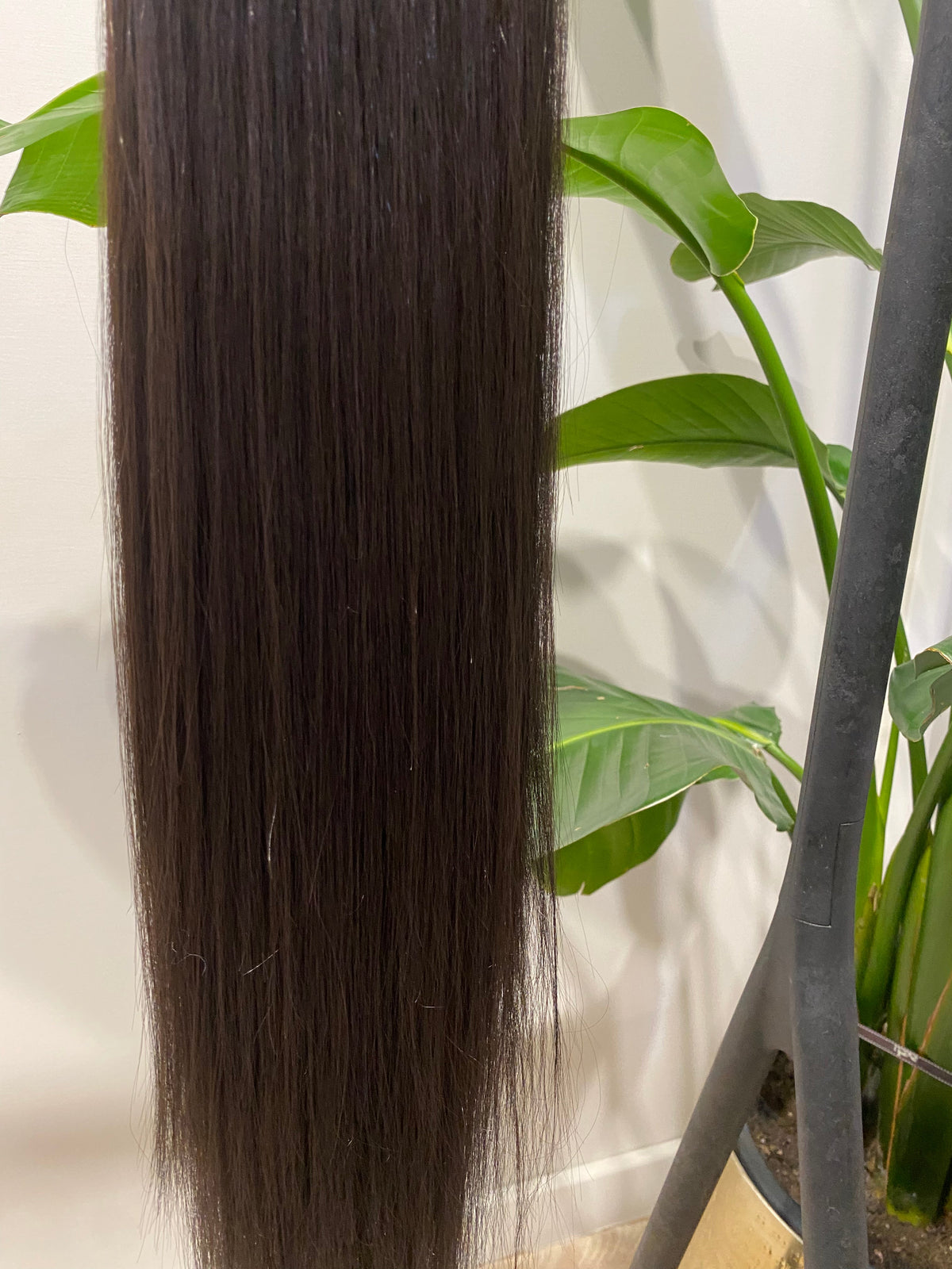 Coda liscia con Coulisse Castano Scuro MQ