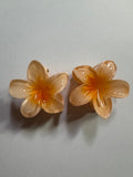 Set 2 mollettine con fiore