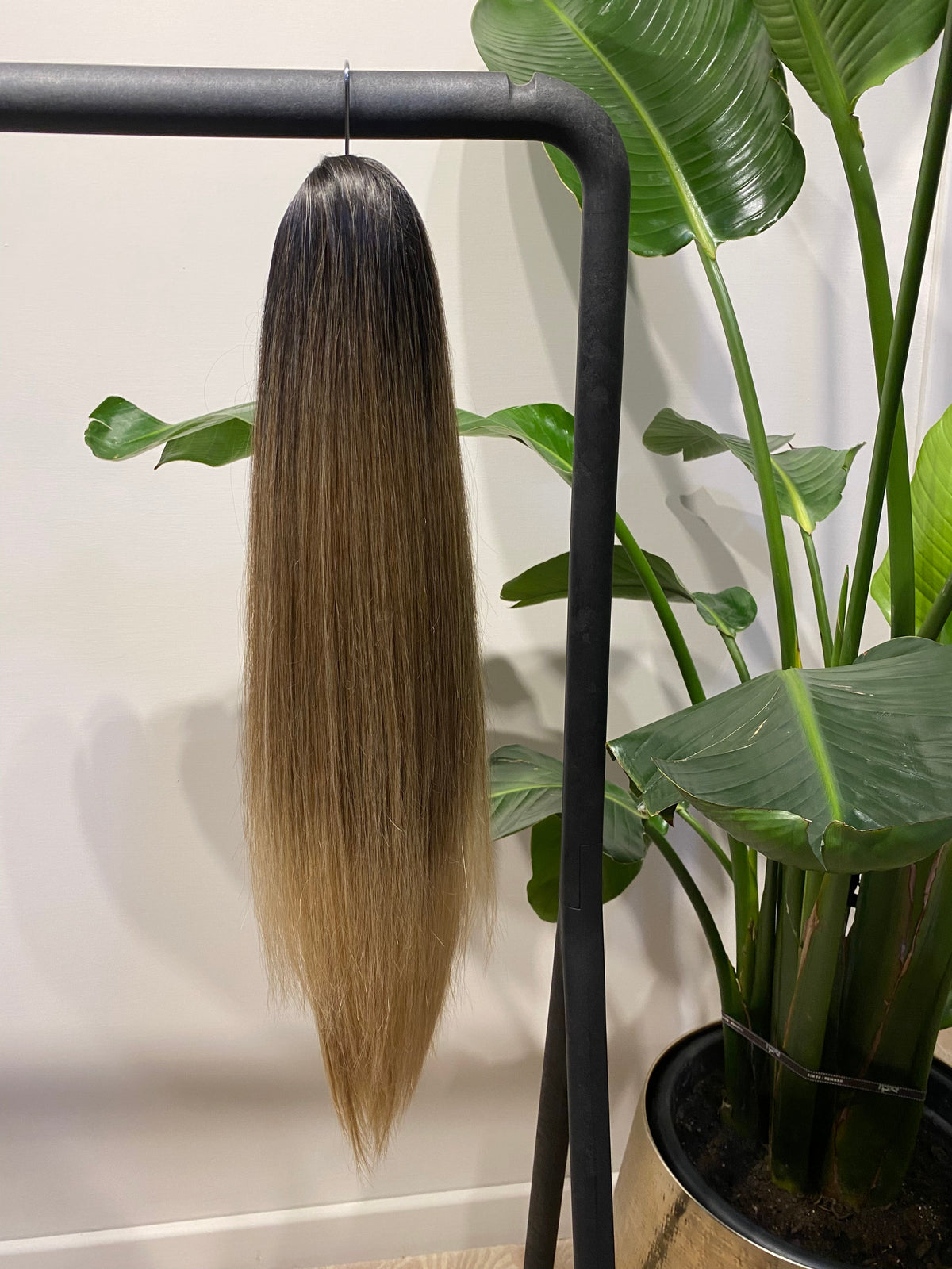 Coda liscia con Coulisse Biondo Degradè MQ