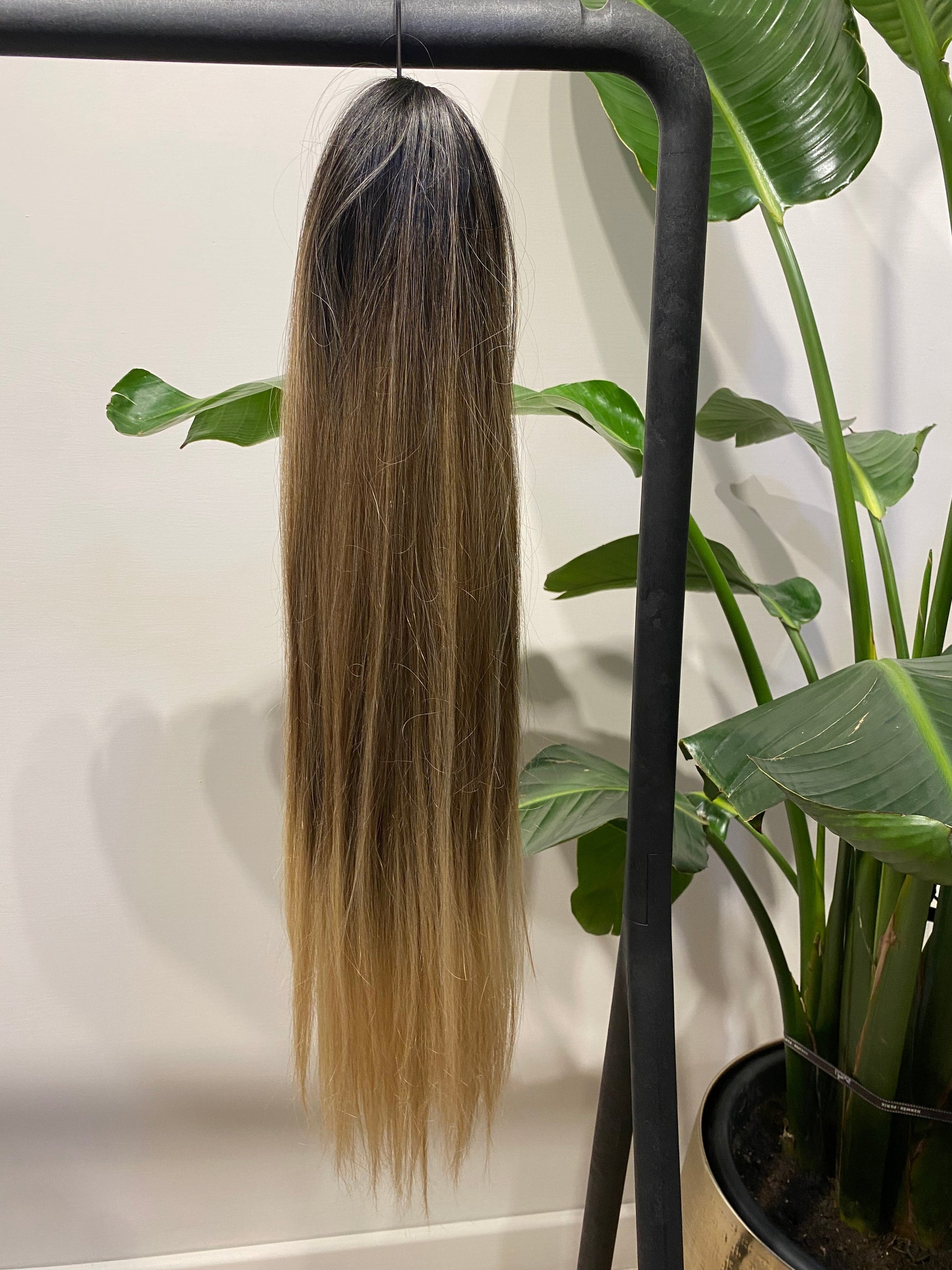 Coda liscia con Coulisse Biondo Degradè MQ