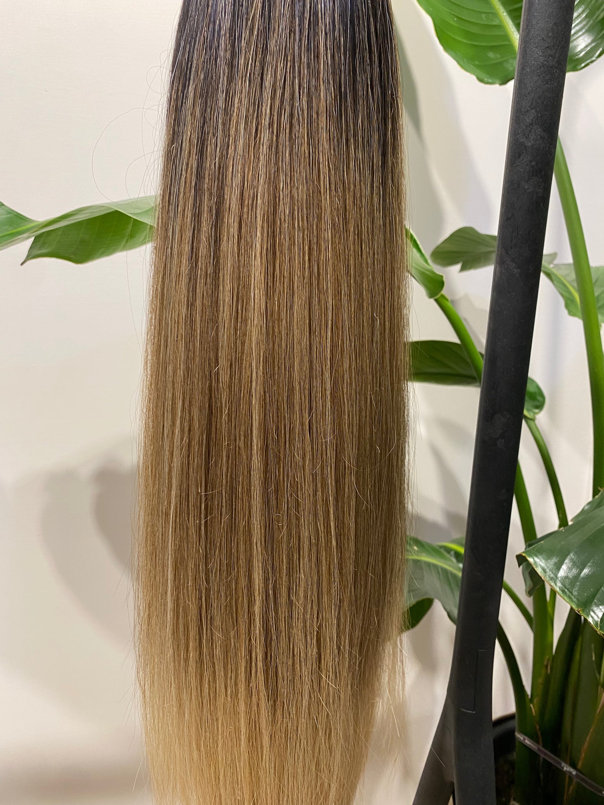 Coda liscia con Coulisse Biondo Degradè MQ