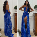 Abito animalier blu